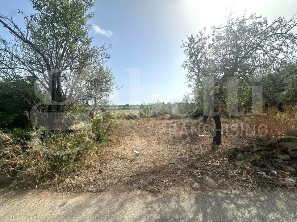 Aed - Buildable Land with Sea View in Noto