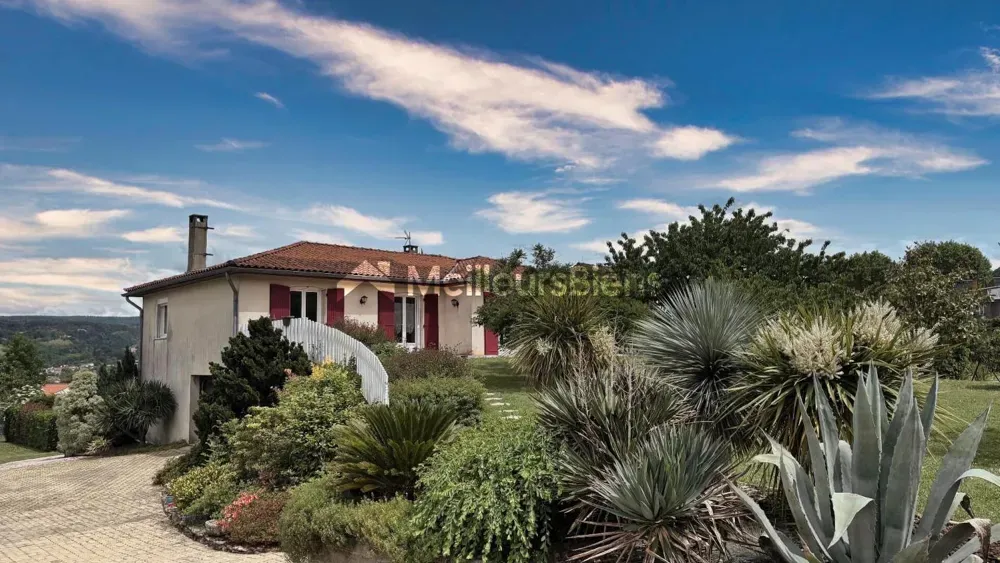 Extérieur - Villa avec Piscine et Sous-sol à Mazamet