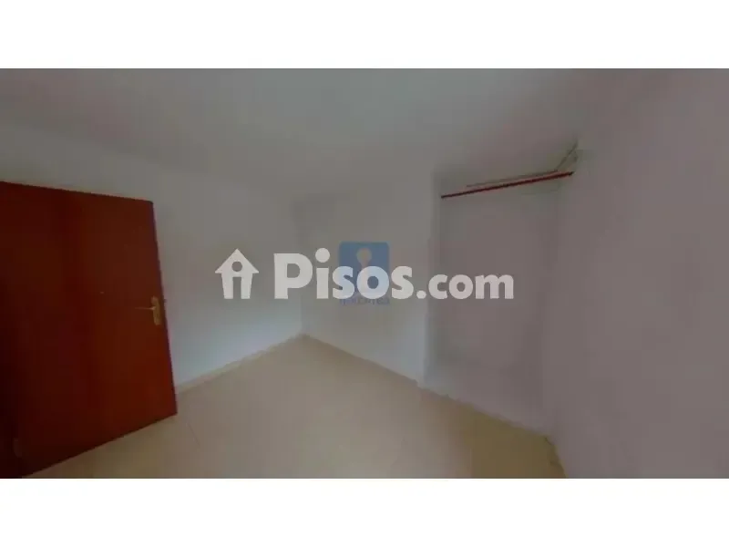 Toad - Occupied Flat in Terrassa, Barcelona