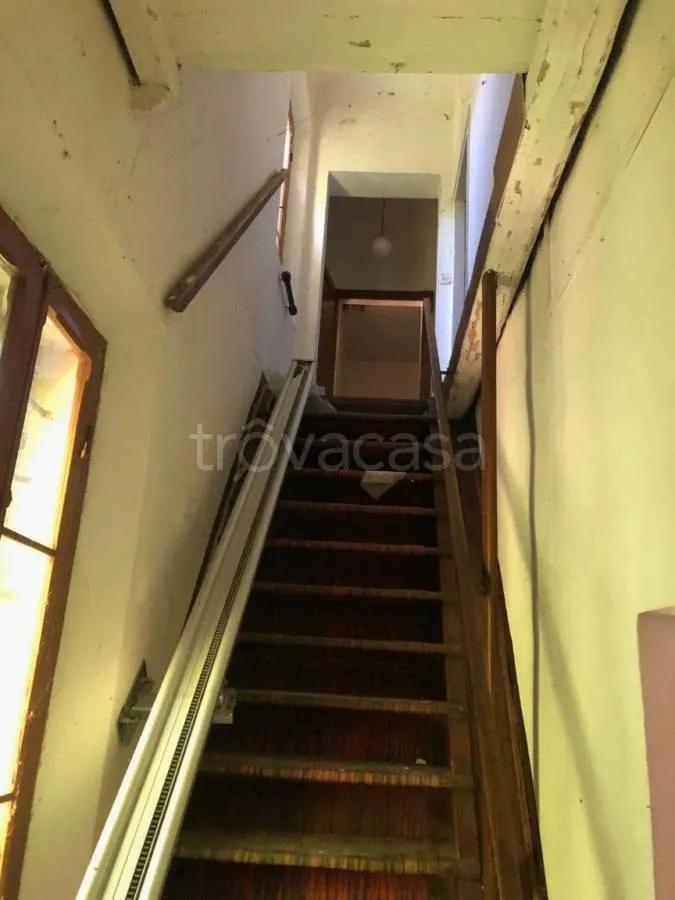 Toad - Independent House with Garden in Voghiera