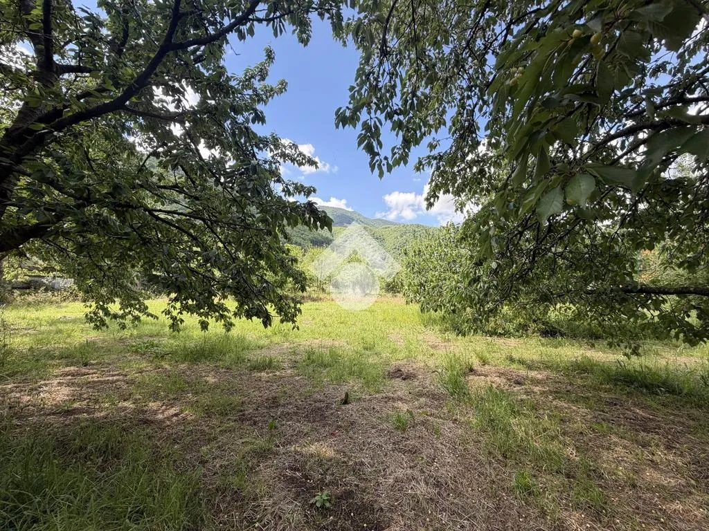 Jardin - Agricultural Land with Cherry Trees in Cervinara