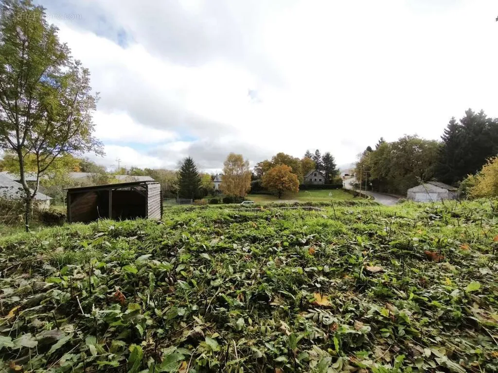 Aed - Constructible Plot in Curan, Aveyron