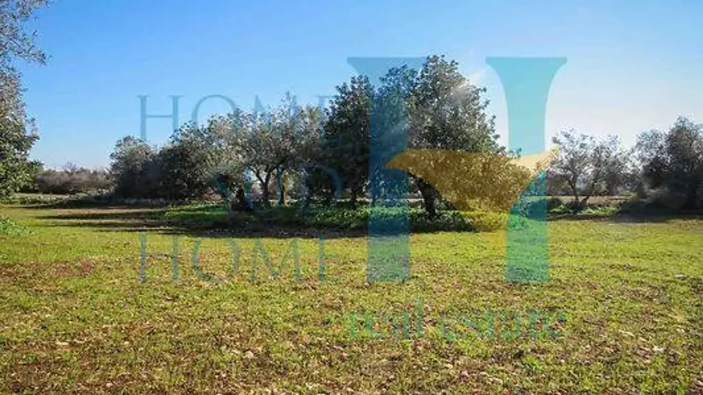 Aed - Rustic House with Olive Grove in Noto