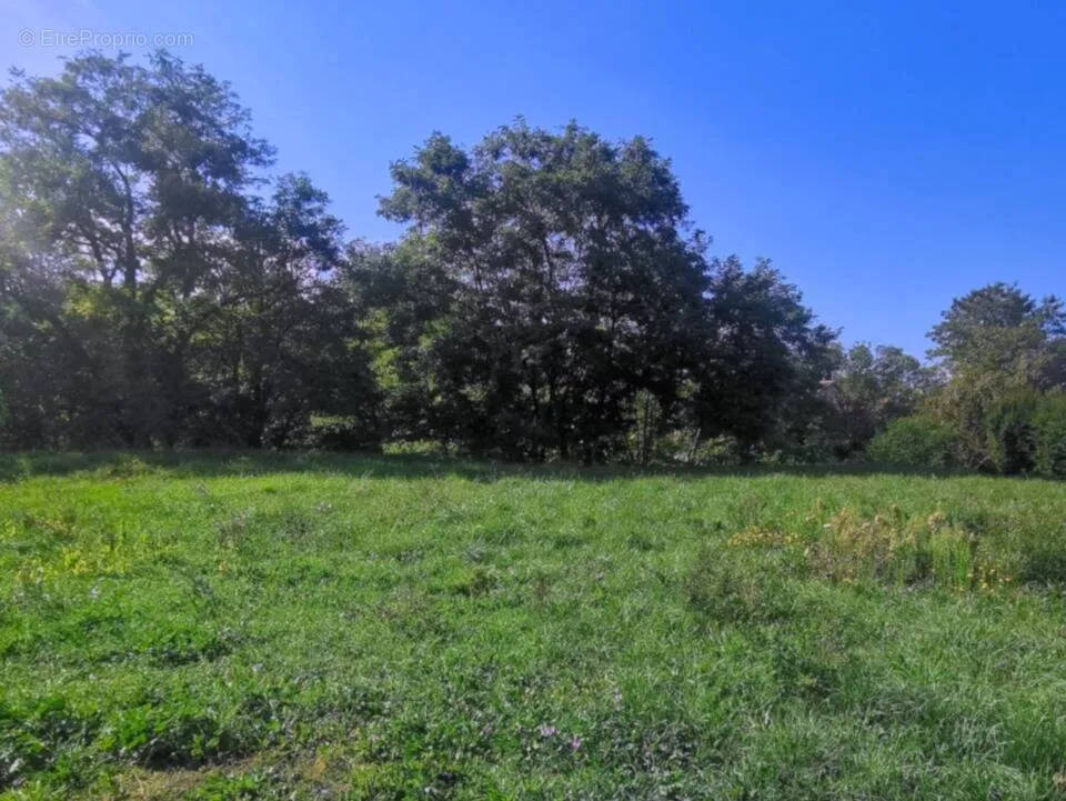 Giardino - 1000 m² Plot with Garden in Rians