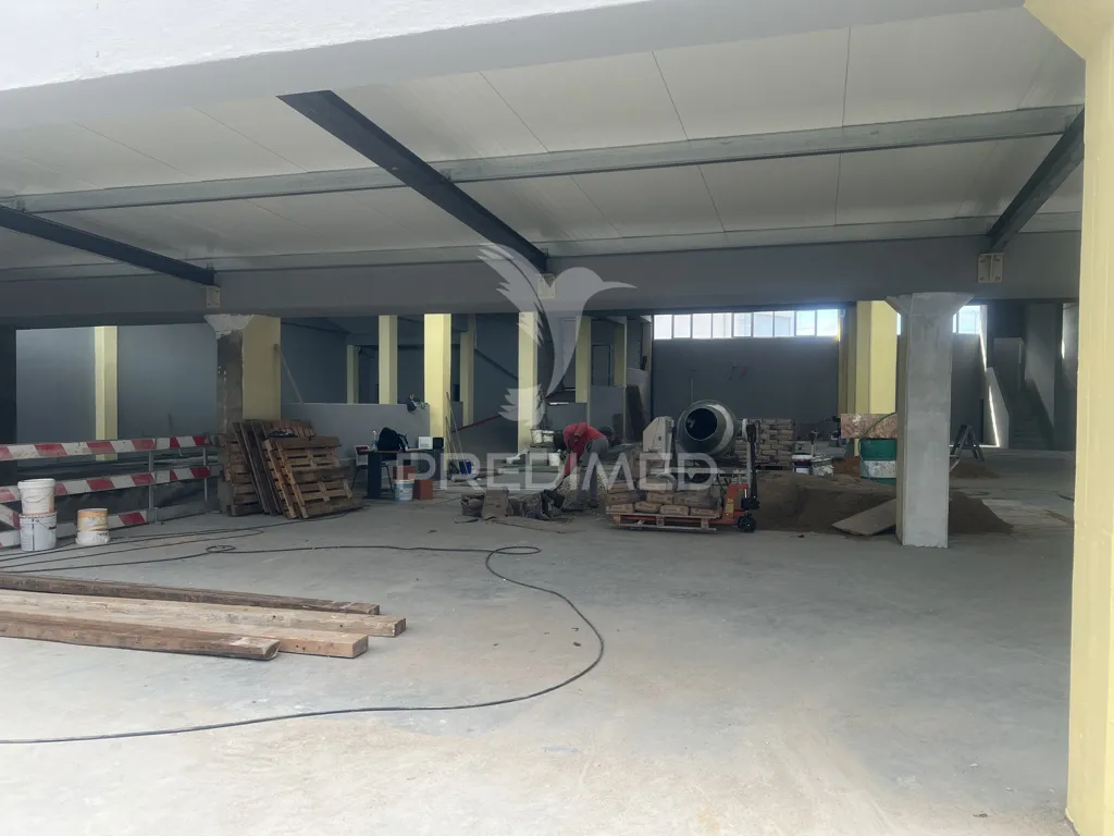 Toad - Warehouse in Prior Velho, Lisbon
