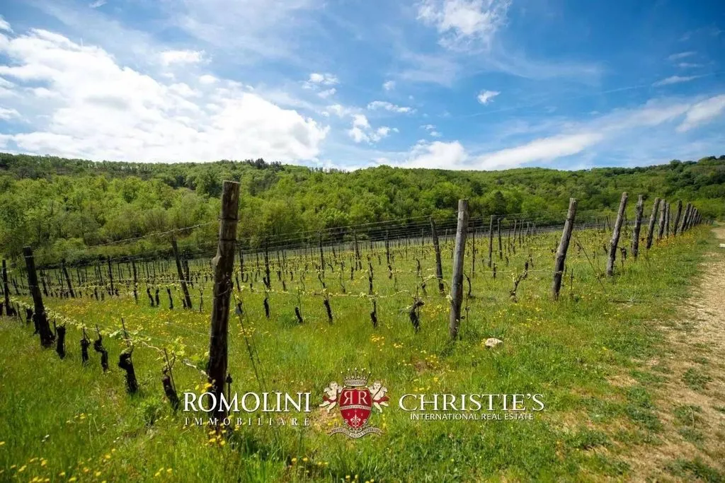 Jardin - Vineyard Estate with Chianti DOCG in Bucine