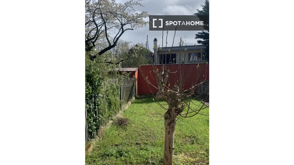 Jardin - Chambre à Louer dans Appartement 3 Pièces à Paris