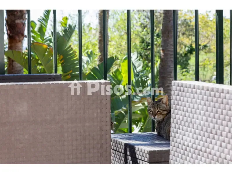 Terrasse - Penthouse with Sea Access in La Alcaidesa