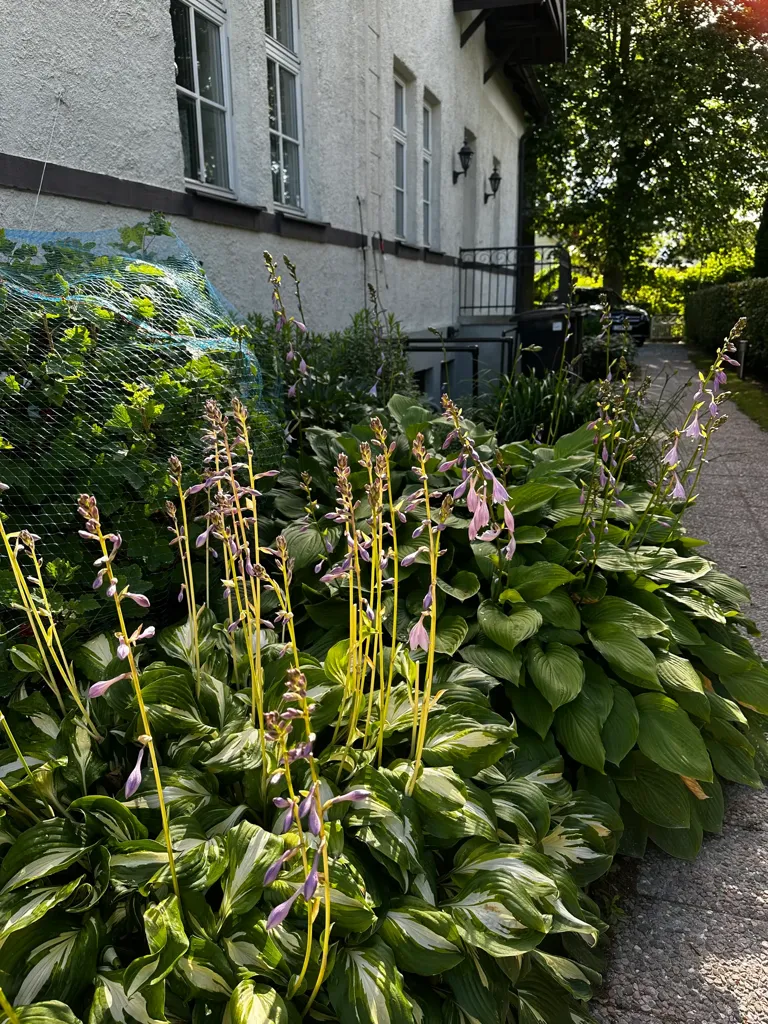 Jardin - Historic Villa with Garden in Old Åkarp