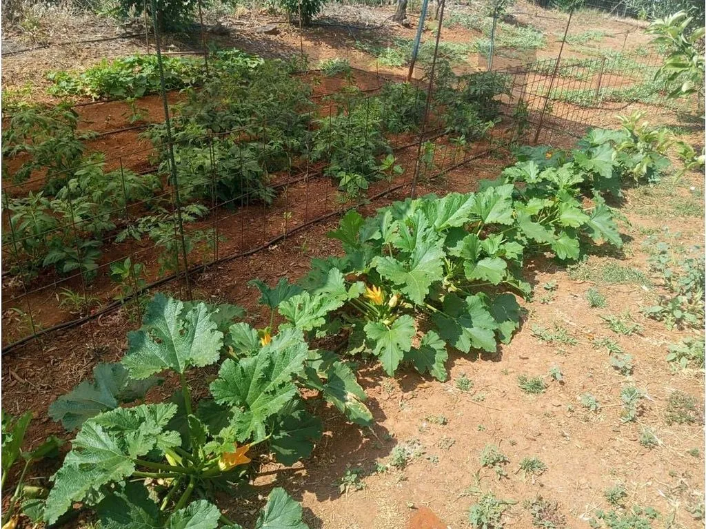 Aed - Rural Cortijo with Pool near Alange