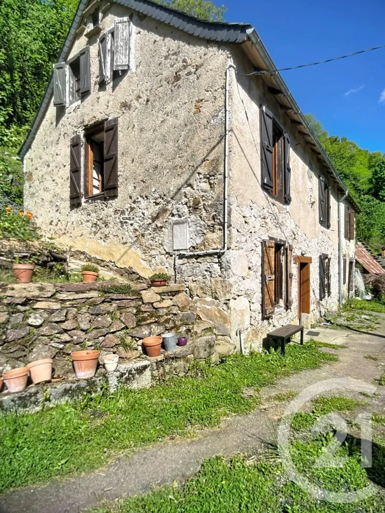 Extérieur - Maison en Pierre avec Terrain à Aleu
