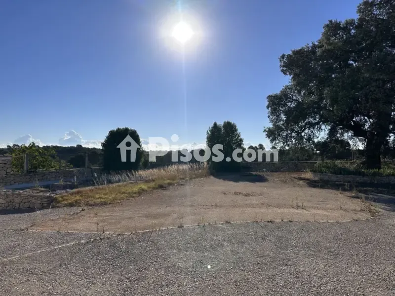 Jardin - Historic Finca with Vineyards in Requena