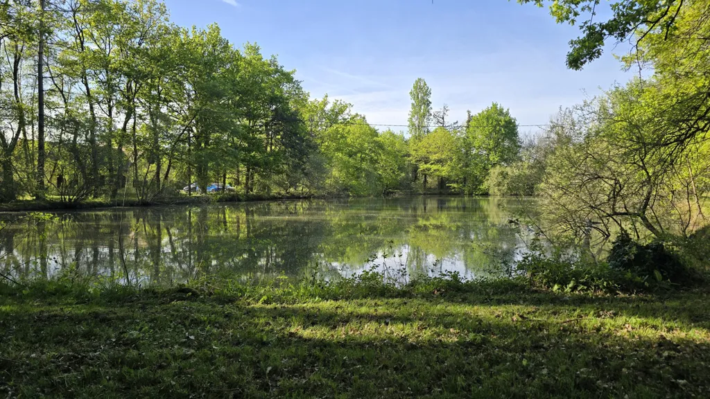 Jardin - Propriété avec Étang et Piscine sur 2 Hectares