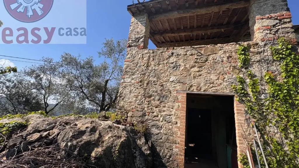 Extérieur - Rustic Property with Olive Grove in Lucca