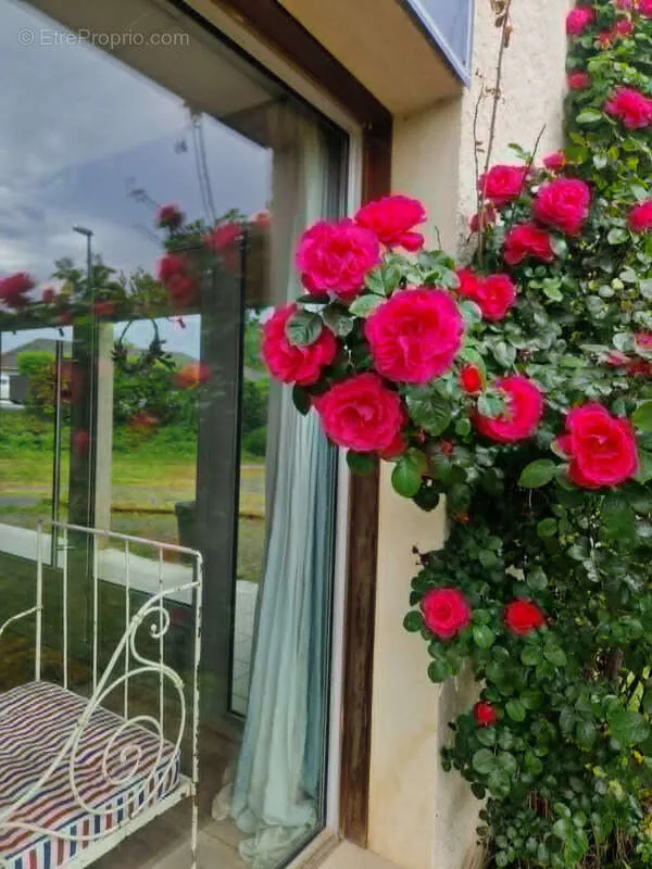 Terrass - Commercial Space with Private Garden in Morlaàs