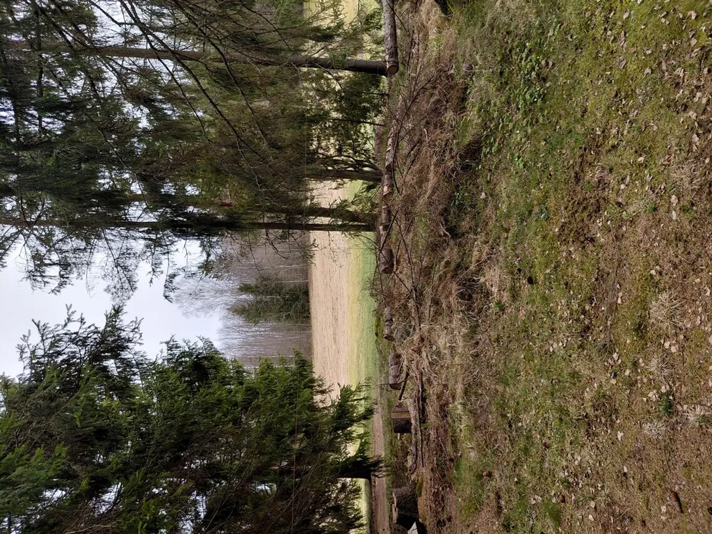 Terrain à Porvoo