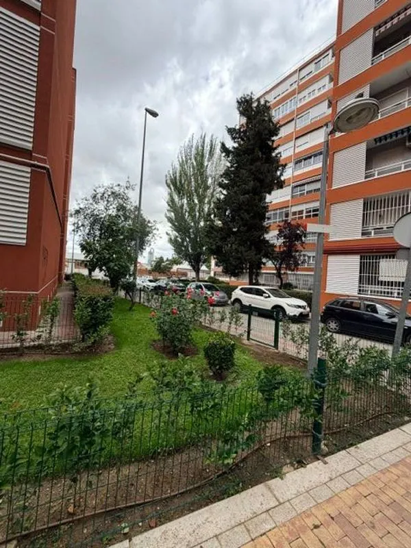 Jardin - Flat with Terrace in El Naranjo, Fuenlabrada