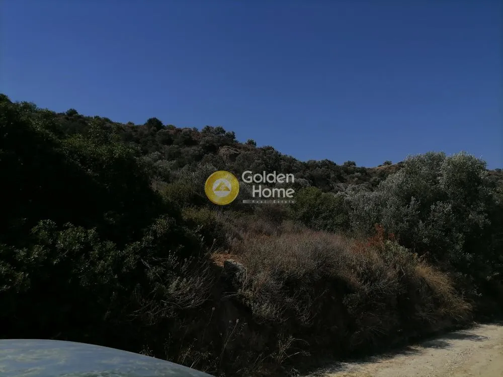 Aed - Agricultural Land with Unrestricted View in Phaistos