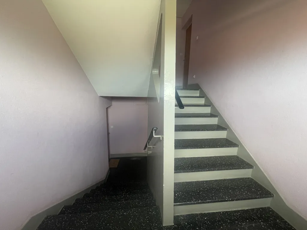 Toad - Bright Three-Bedroom Flat with Balcony in Roanne
