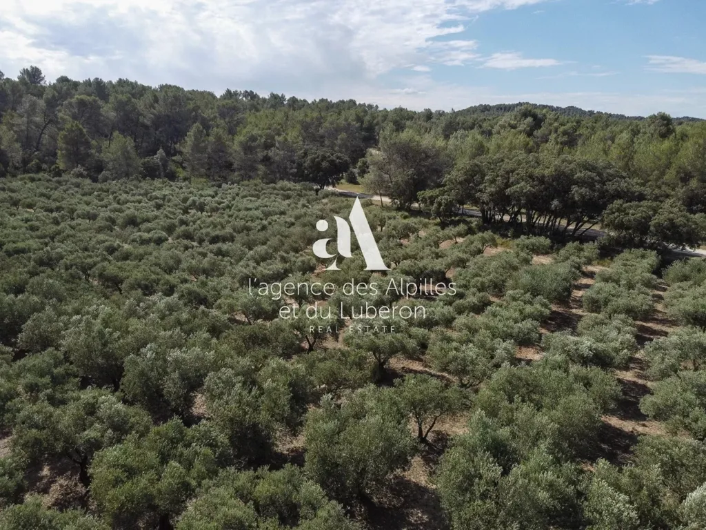 Garden - Authentic Stone Mas with Pool near Avignon TGV