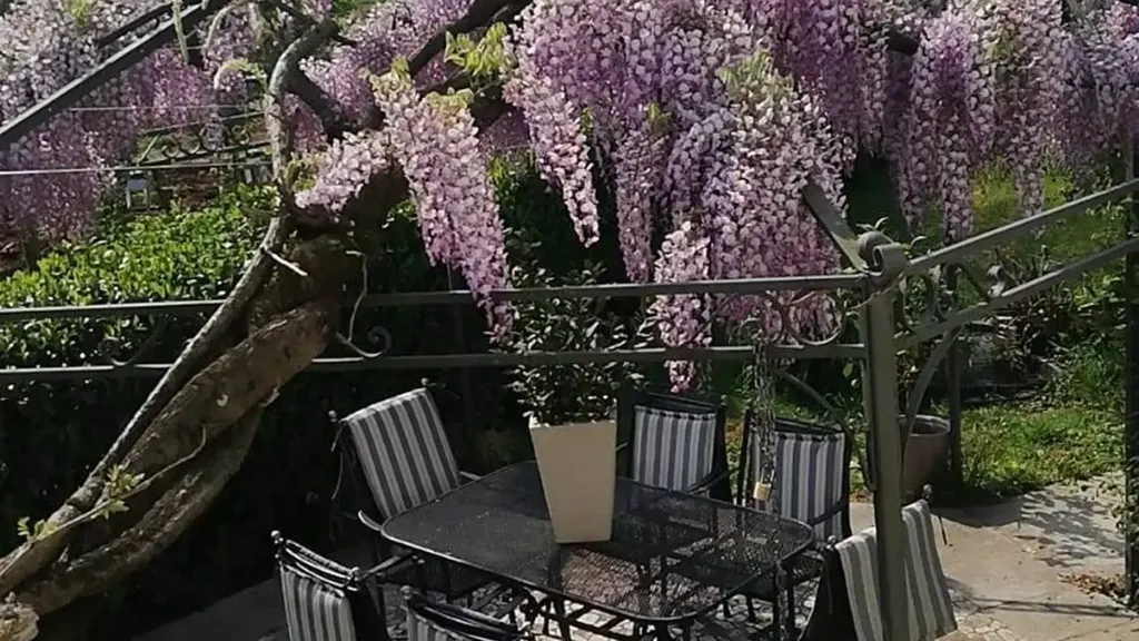 Terrass - Villa with Extensive Garden near Montebelluna