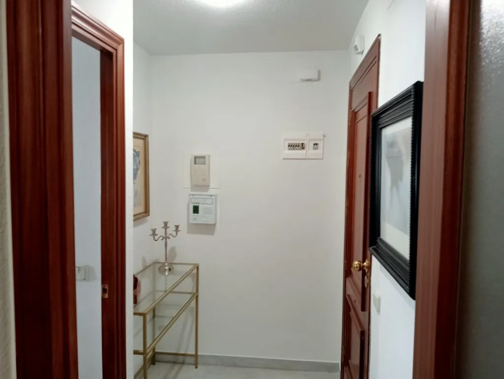 Entrée - Appartement 2 pièces à Sevilla Capital