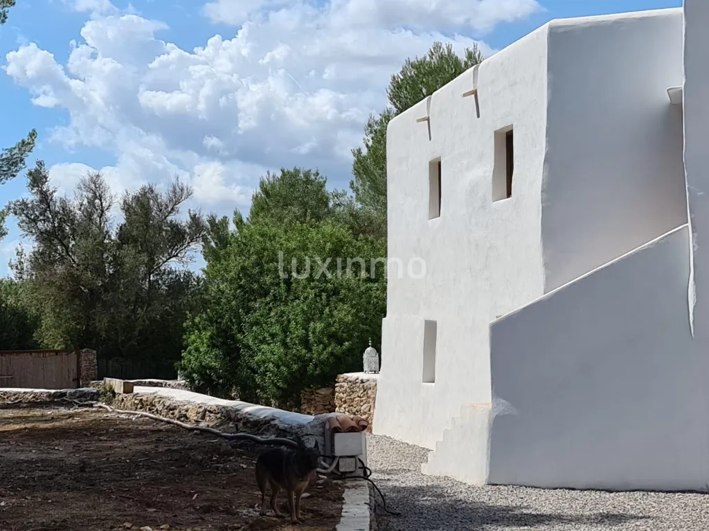Välivaade - Traditional Finca with Forest View in Santa Eulalia