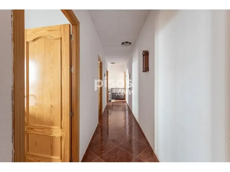 Esik - Flats with Terrace in Granada Centre