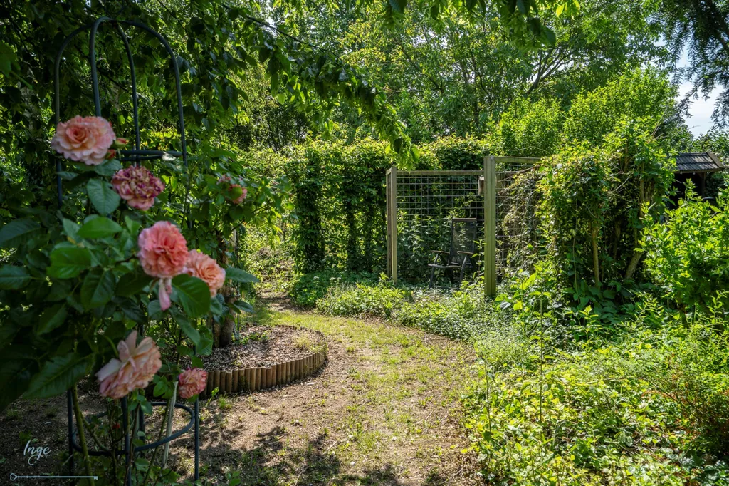 Garden - Characterful Two-Storey House with Garden in Reuver