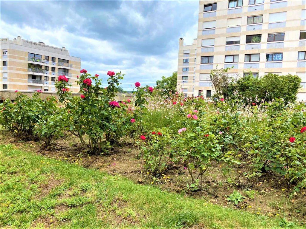 Garden - Refurbished Apartment with Garden View in Garches