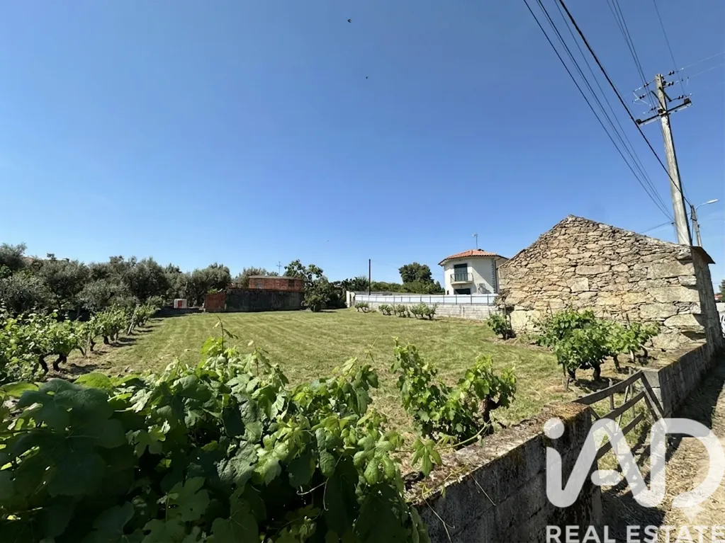 Jardin - Buildable Plot with Granite Shed in Mangualde