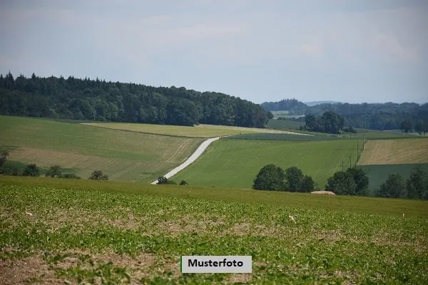 Terreno a Birlenbach