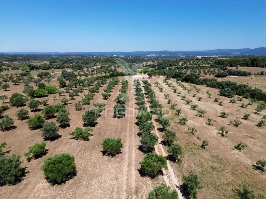Vue aérienne - Rural Quinta with Olive Grove in Vaqueiros