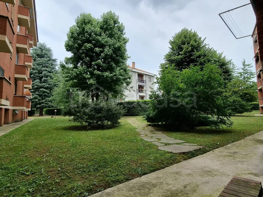Garden - Penthouse Apartment with Balcony in Grugliasco