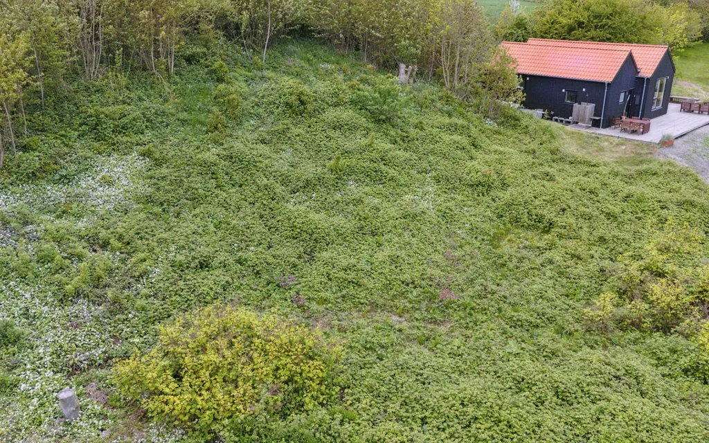 Õhuvaade - Listed Plot with 5G Coverage in Svaneke