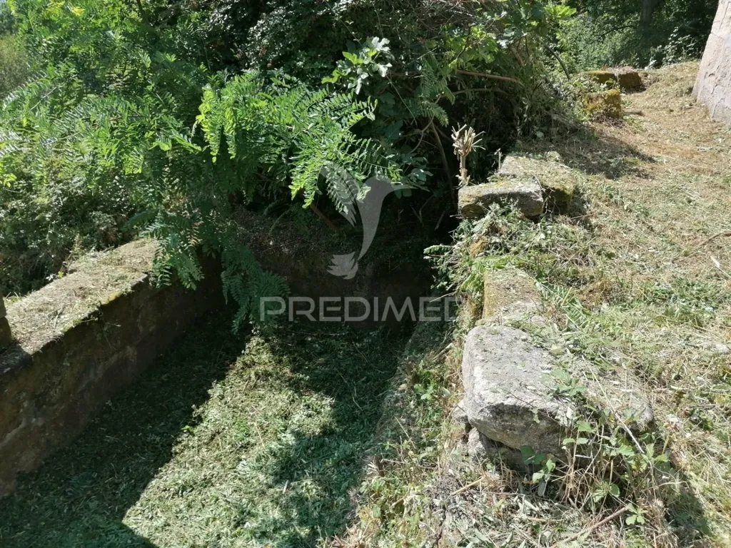 Aed - Rural Quinta with Olive Trees in Douro Region