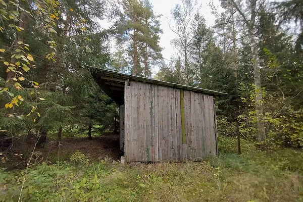 Välivaade - Country Plot with Forest Access in Koppelmaa