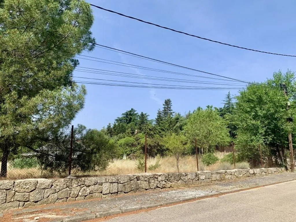 Garden - Urban Development Land near UCM, Colmenarejo