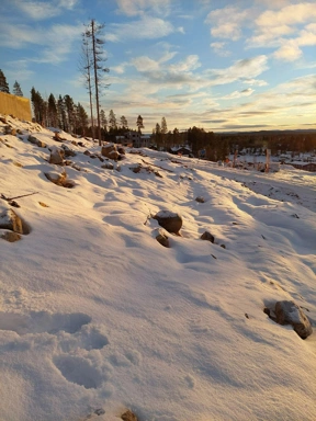 Muu - Maa asukohas Kåbdalis
