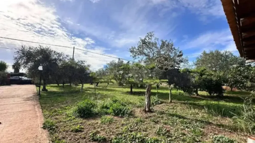 Jardin - Villa with Fruit Orchard in Noto