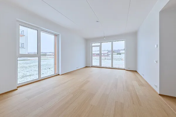 living_room