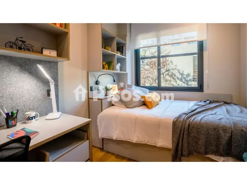 Magamistoad - Student Studio with Gym in El Besòs-El Maresme