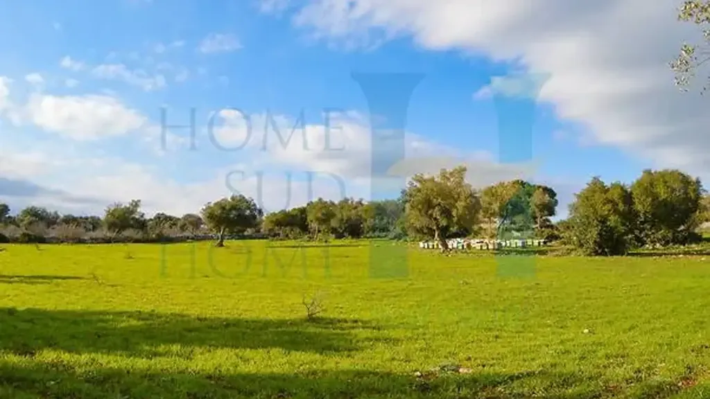 Jardin - Baglio-Style Property with Natural Views in Noto