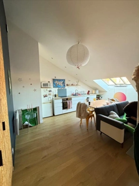 Séjour - Appartement Rénové en Dernier Étage à Nancy
