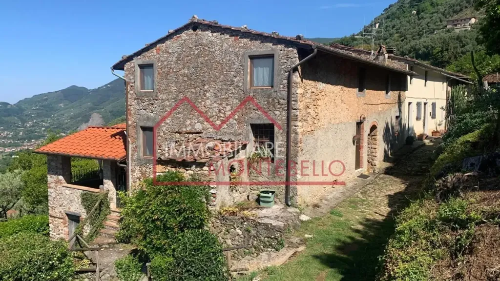 Extérieur - Tuscan Rustico with Sea View in Camaiore
