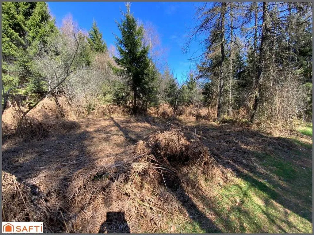 Aed - Non-Constructible Land with South-East Exposure in Le Tholy