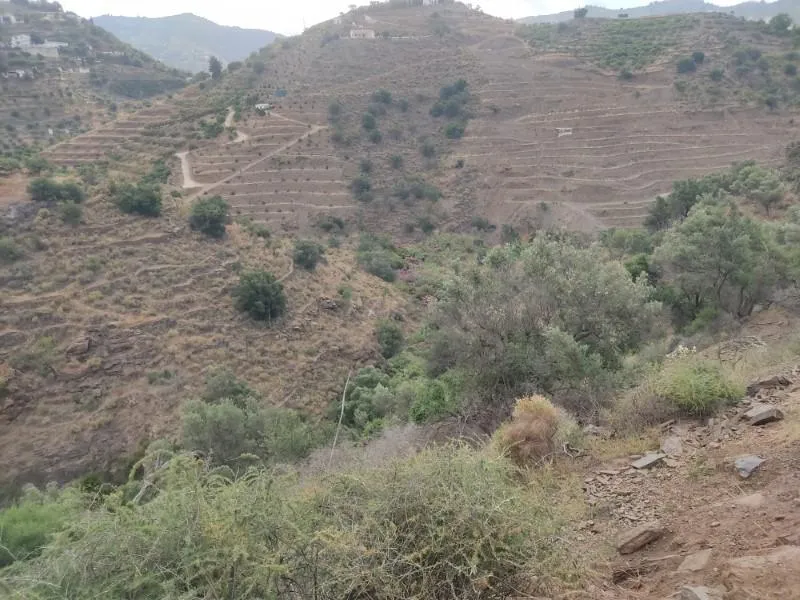Jardin - Two Large Plots with Panoramic Views near Sayalonga