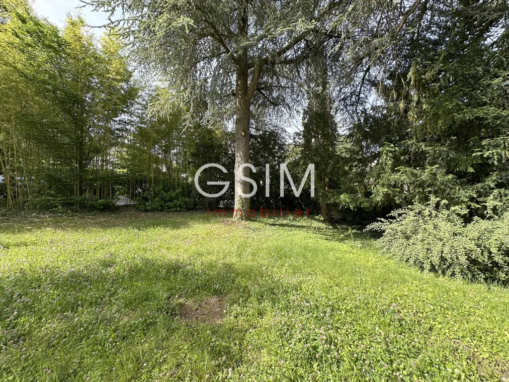 Jardin - Maison Refaite à Neuf avec Jardin dans le Clos Baptiste