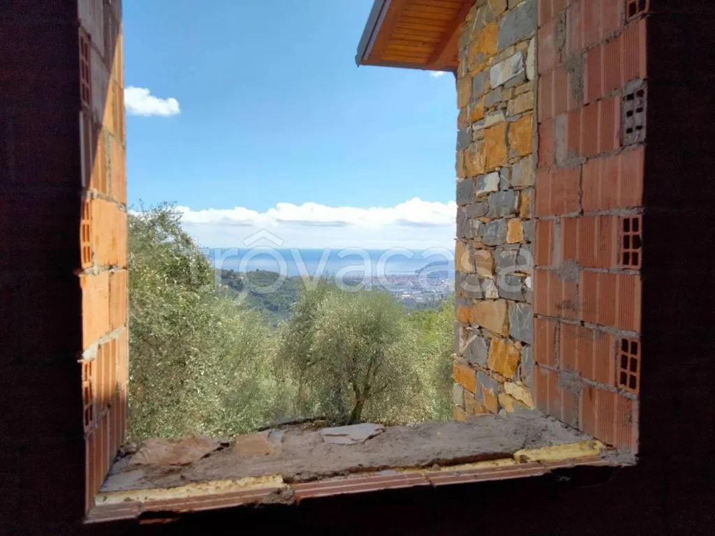 Toad - Rustic Villa with Olive Grove in Diano San Pietro