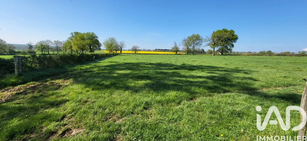 Garden - Spacious House with Garden in Volesvres